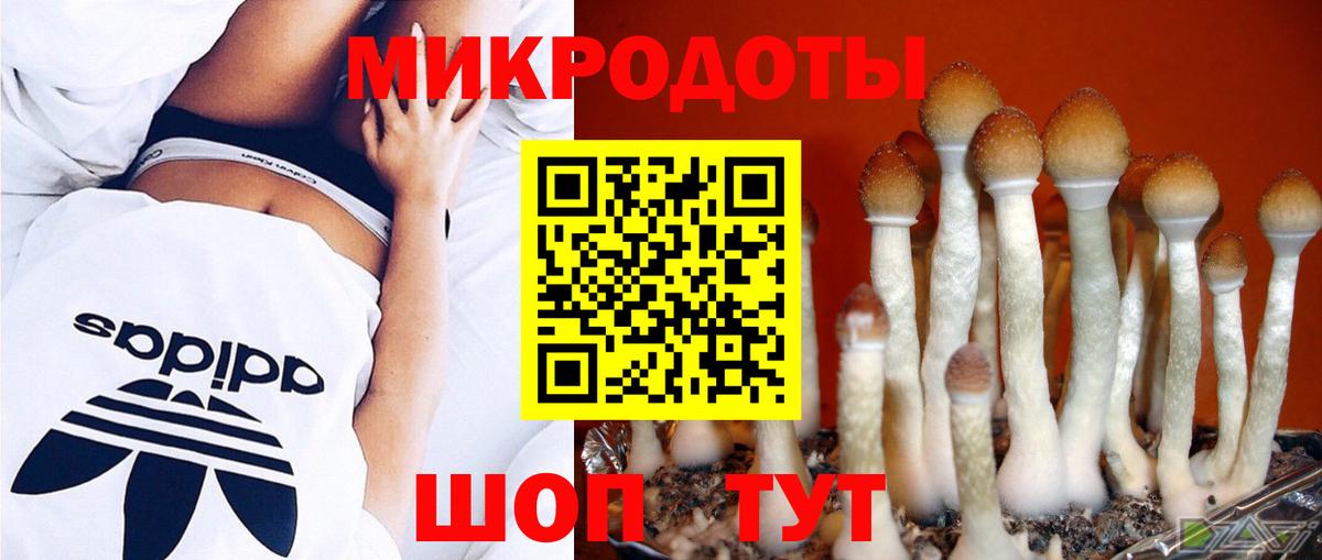 Галлюциногенные грибы Magic Shrooms  где можно купить   Новый Уренгой  Вход с VPN 